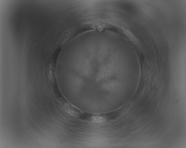 X0000072970169200607211232