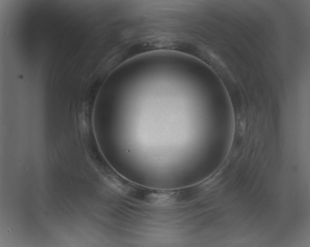 X0000072970170200607211232