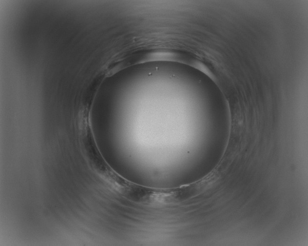 X0000072970172200607211232