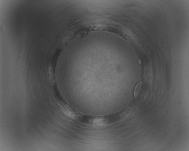 X0000072970173200607211232