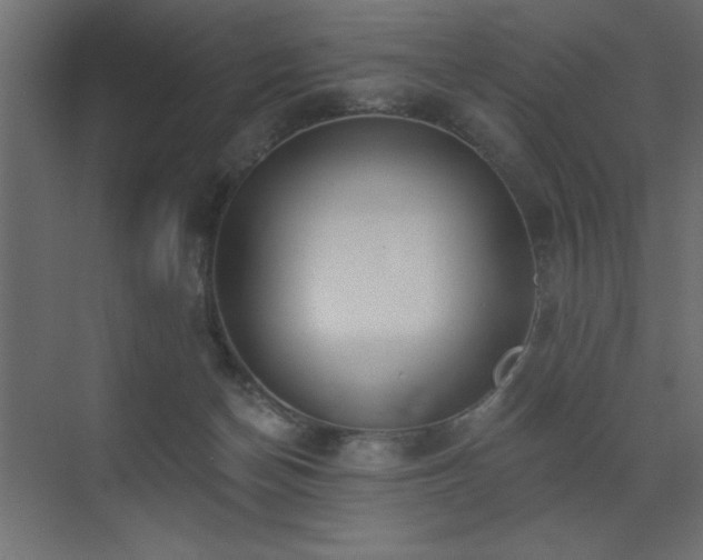 X0000072970174200607211232