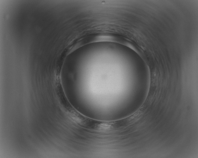 X0000072970176200607211233