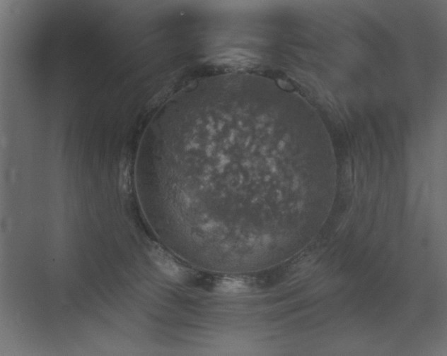 X0000072970177200607211233