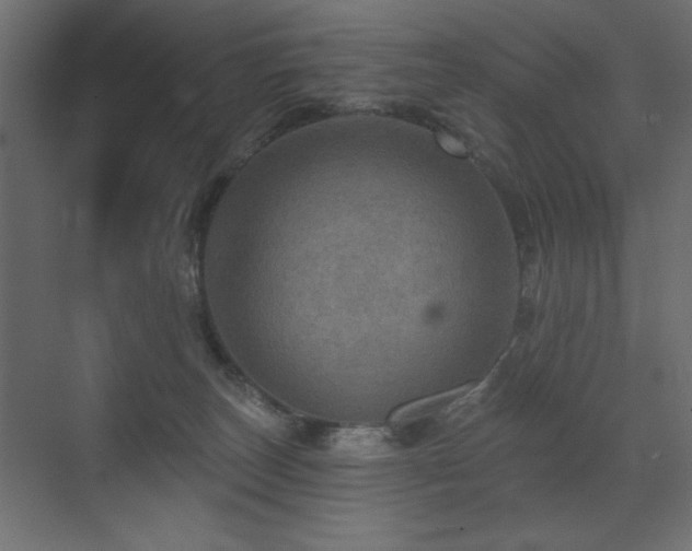 X0000072970179200607211233