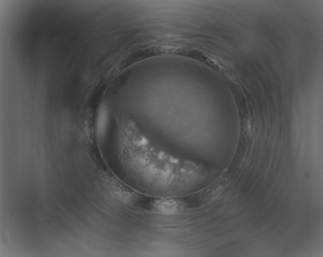 X0000072970181200607211233