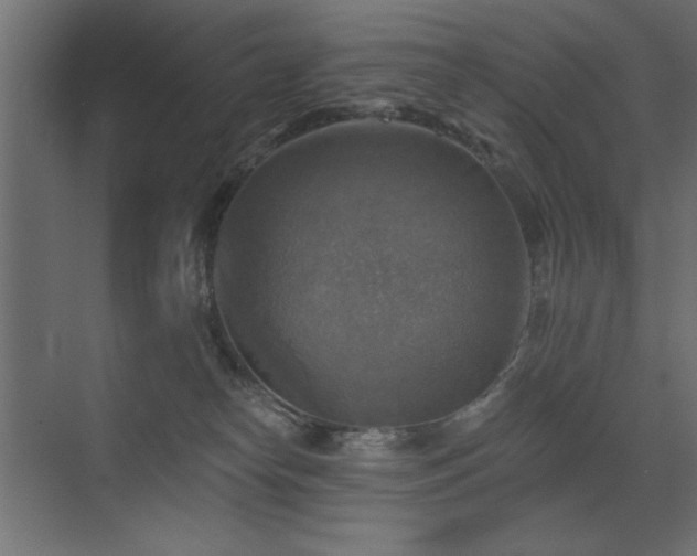 X0000072970182200607211233