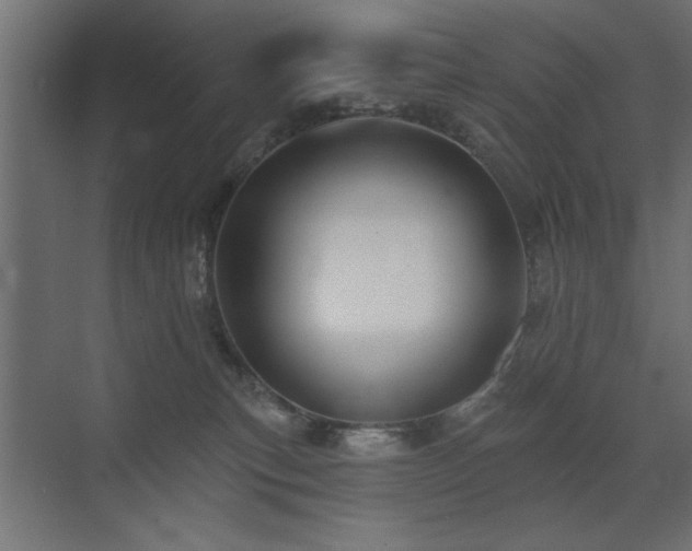 X0000072970183200607211233