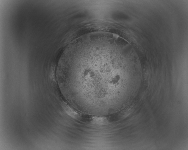 X0000072970185200607211233