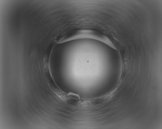 X0000072970186200607211233