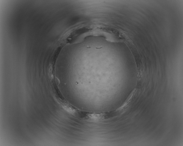 X0000072970187200607211233