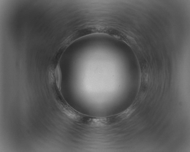 X0000072970188200607211233