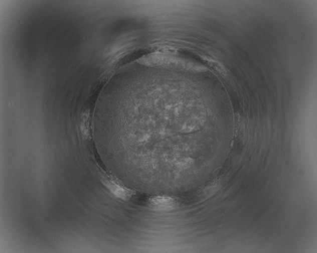 X0000072970189200607211233