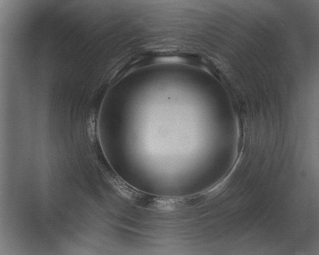 X0000072970190200607211233