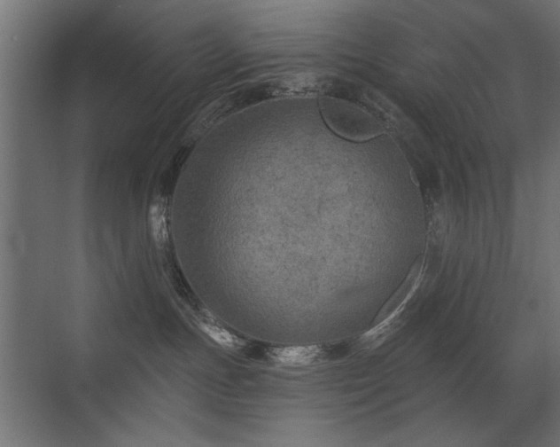 X0000072970191200607211233