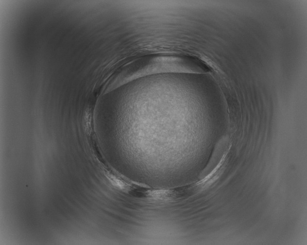 X0000072970192200607211233