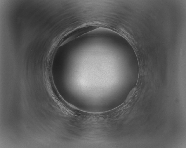 X0000072970193200607211232