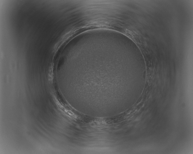 X0000072970194200607211232