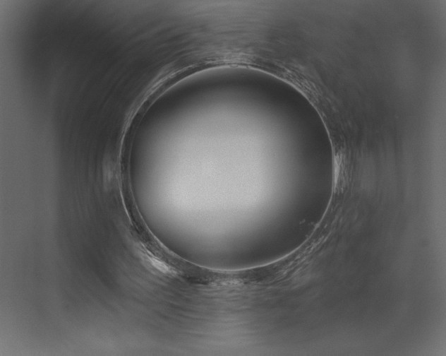 X0000072970195200607211232