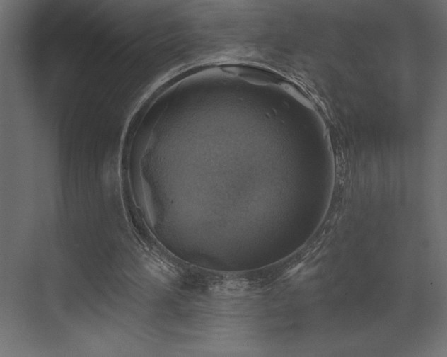 X0000072970196200607211232