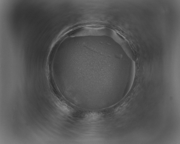 X0000072970198200607211232