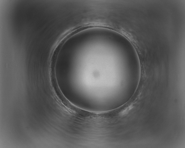 X0000072970199200607211232