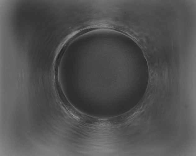 X0000072970200200607211232