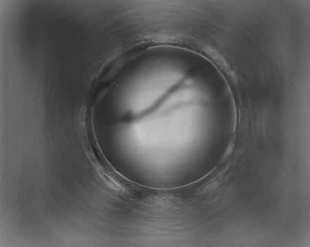 X0000072970201200607211232