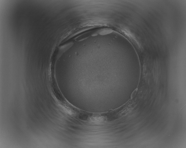 X0000072970202200607211232