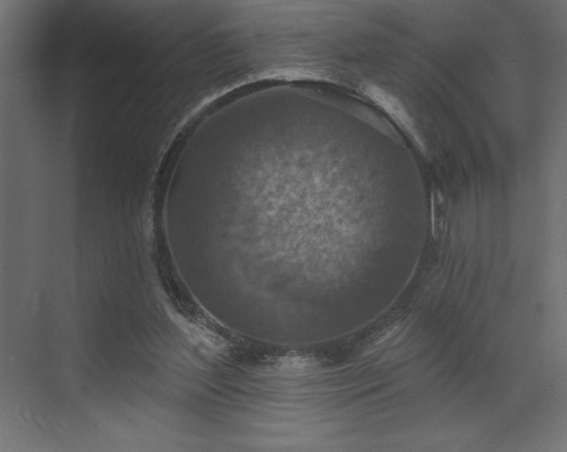 X0000072970204200607211232