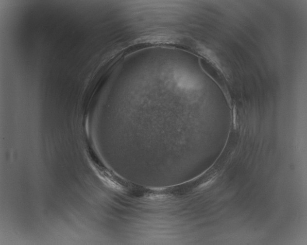 X0000072970205200607211232