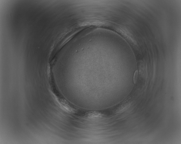 X0000072970206200607211232