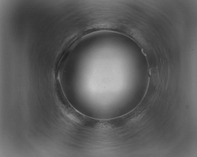 X0000072970207200607211232