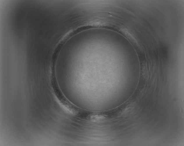 X0000072970208200607211232