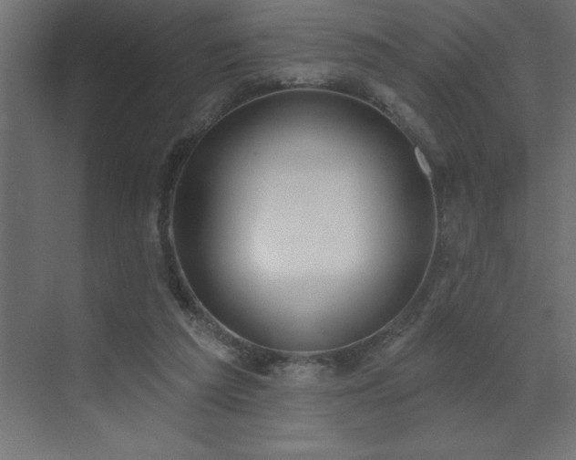 X0000072970209200607211232