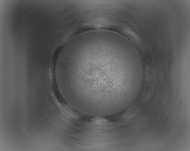 X0000072970210200607211232