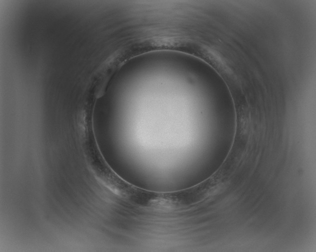 X0000072970211200607211232