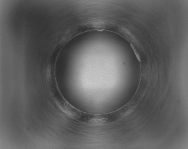 X0000072970213200607211232