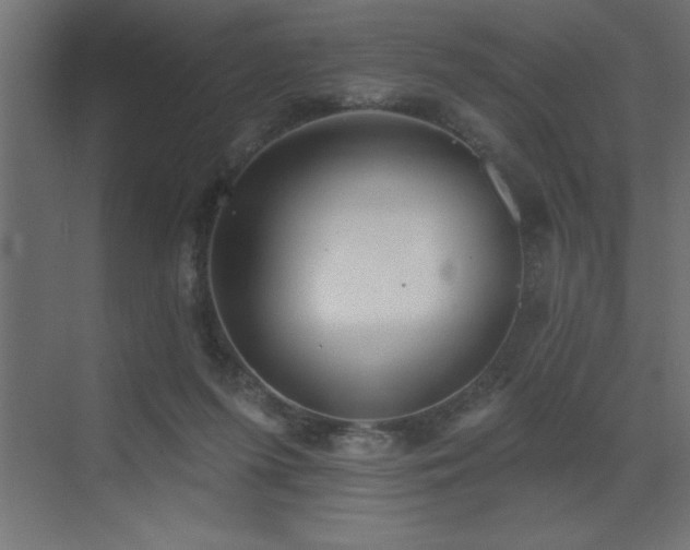 X0000072970215200607211232