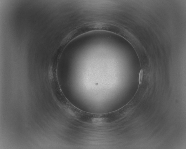 X0000072970216200607211232