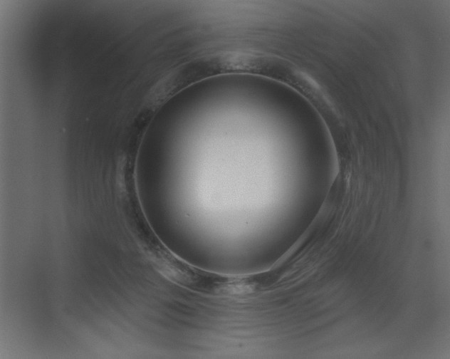 X0000072970217200607211232