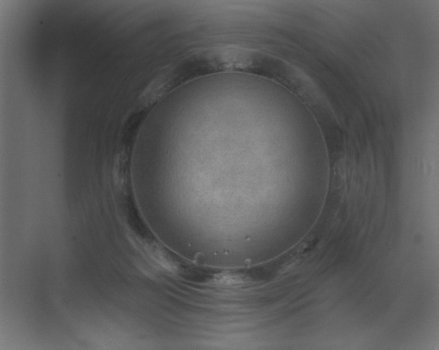 X0000072970218200607211232