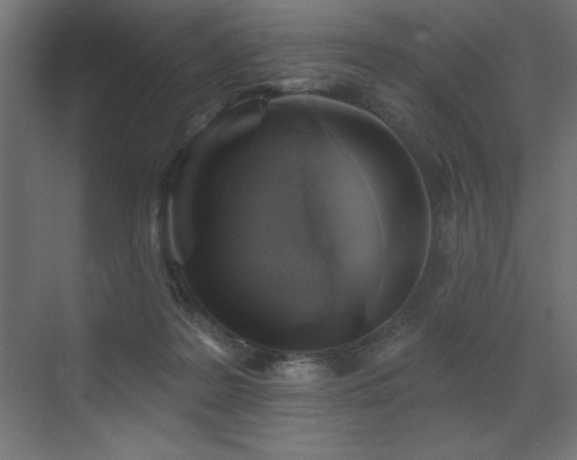 X0000072970219200607211232