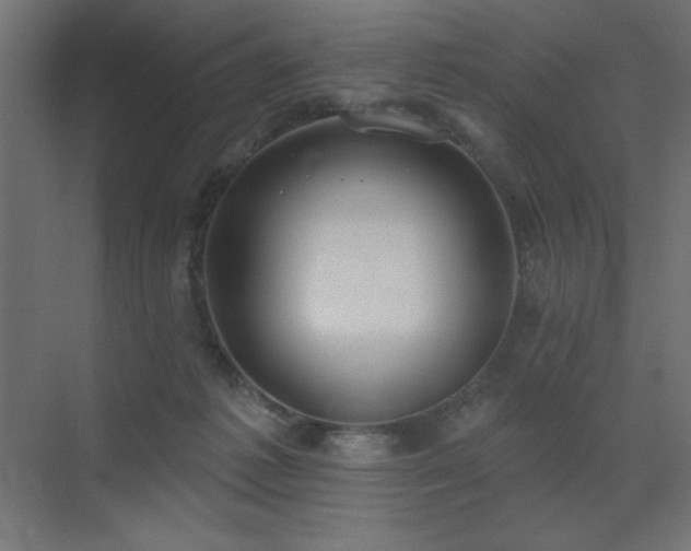 X0000072970221200607211232