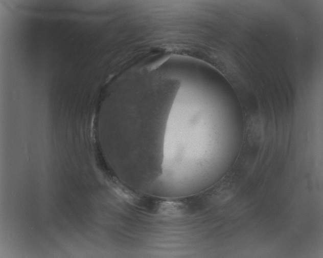 X0000072970222200607211231