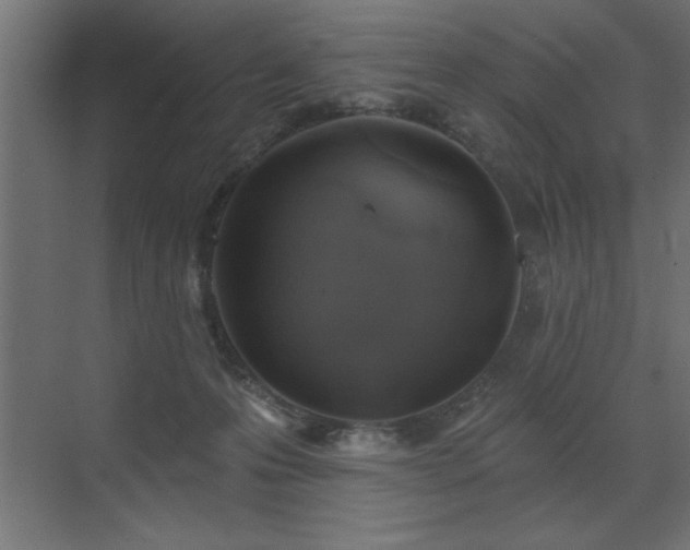 X0000072970223200607211231