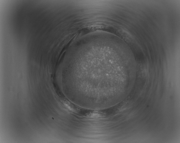 X0000072970224200607211231