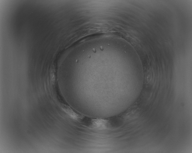 X0000072970226200607211231