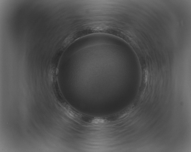 X0000072970227200607211231