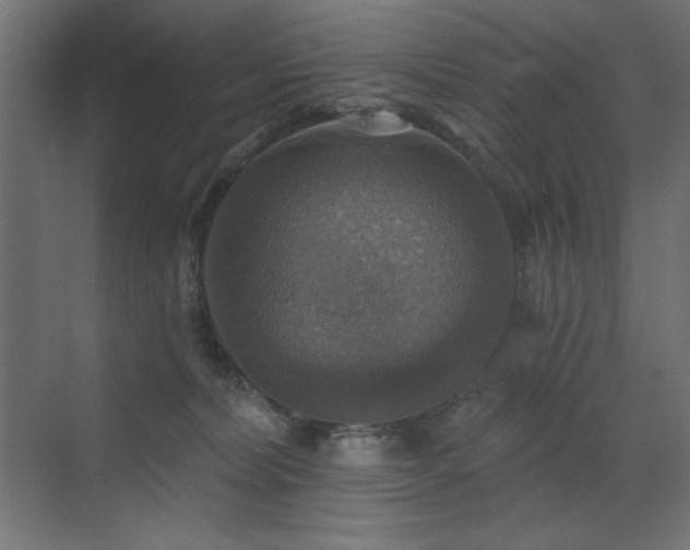 X0000072970228200607211231