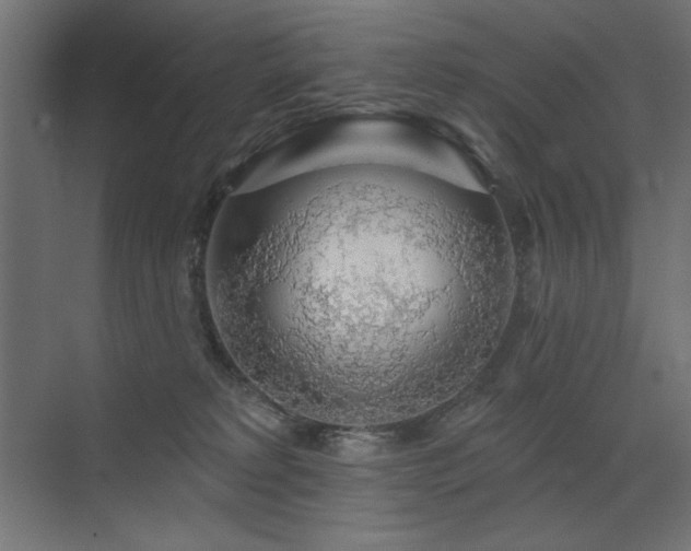 X0000072970229200607211231